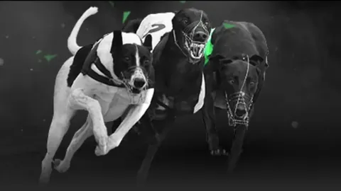 “澄清误解：对塔特姆的网上质疑源于篮球知识不足，需提高认知水平”